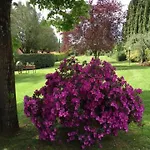 Borgo Spedaletto 3 - Dolcevita * Grassina